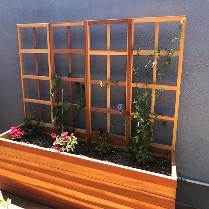 San Laura's Redwood Planter Box with Trellis